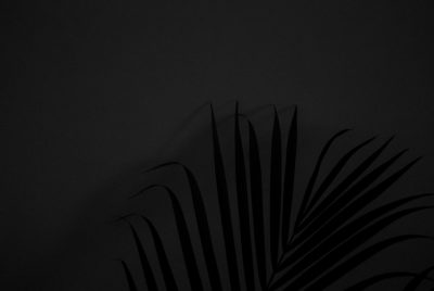 A black background with the shadow of palm leaves upon it, creating an elegant and minimalist composition. The contrast between light and dark creates depth in this monochromatic scene. --ar 128:85