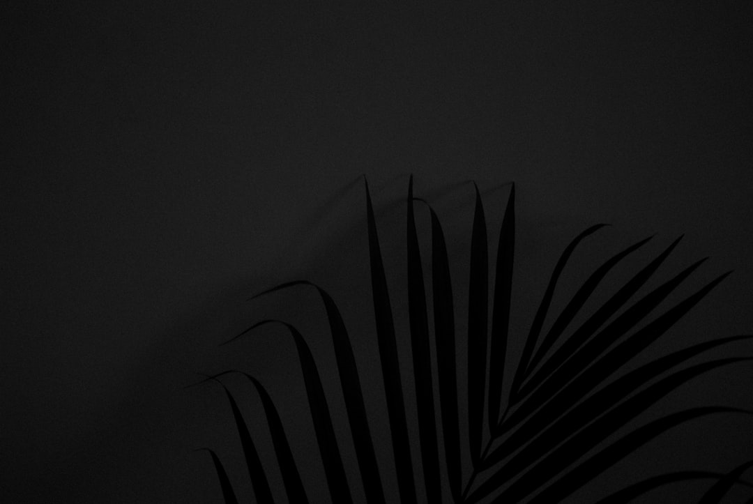 A black background with the shadow of palm leaves upon it, creating an elegant and minimalist composition. The contrast between light and dark creates depth in this monochromatic scene. –ar 128:85