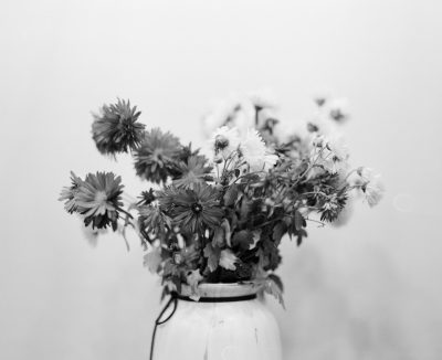 black and white photo of wildflowers in a vase, white background, minimalist, shot on Fujifilm Pro 400H film, in the style of Anonymous. --ar 16:13