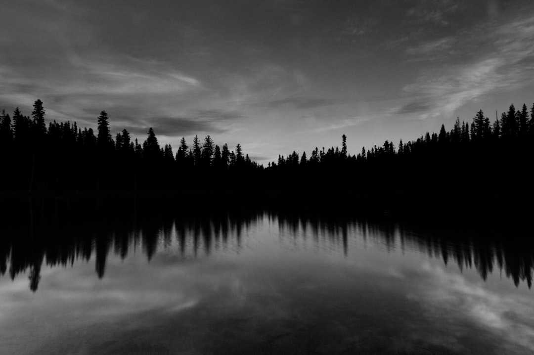 A black and white photograph of the silhouette of trees reflecting in an alpine lake at dusk, taken with a wideangle lens on a Canon EOS camera –ar 128:85