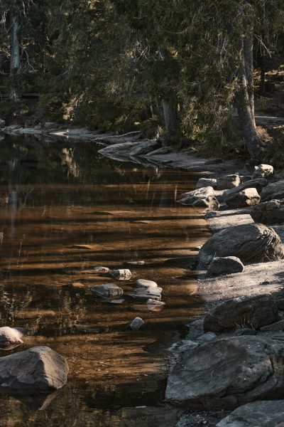 Photorealistic wide shot of the edge of rock and water in an Adirondack forest, with natural lighting in the evening time, shadow play during the golden hour, cinematic low camera angle looking down into the crystal clear stream with rocks, trees, and forest, calm waters. --ar 85:128