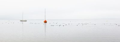 A calm sea with small birds, a single sailboat and an orange ball floating on the water. The sky is overcast, creating soft lighting. Minimalist composition. Shot in wide format. In the style of Canon EOS R5. --ar 128:45