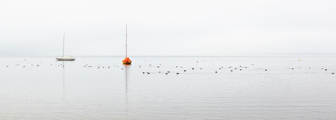 A calm sea with small birds, a single sailboat and an orange ball floating on the water. The sky is overcast, creating soft lighting. Minimalist composition. Shot in wide format. In the style of Canon EOS R5. –ar 128:45