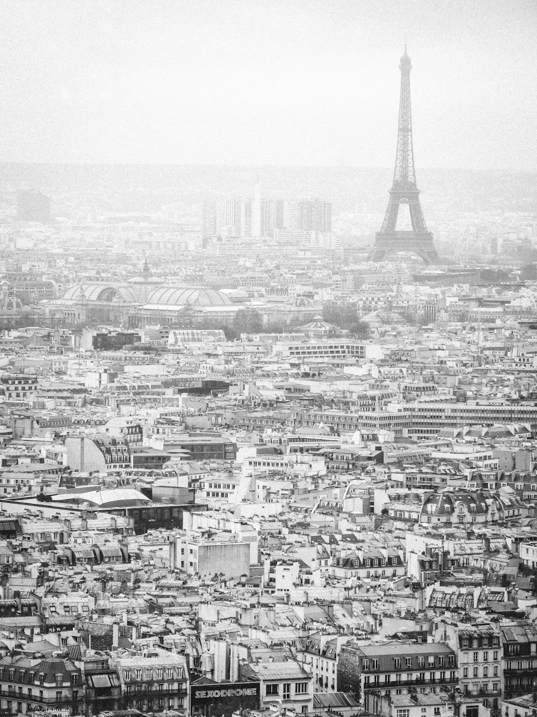 Paris, black and white, aerial view, vintage photography, Eiffel Tower in the distance, old buildings, cityscape, Leica M6 with SummiluxM 50mm f/2 ASPH lens, soft light, Parisian charm, misty morning, grey sky, city lights, bustling streets, romantic atmosphere. –ar 3:4