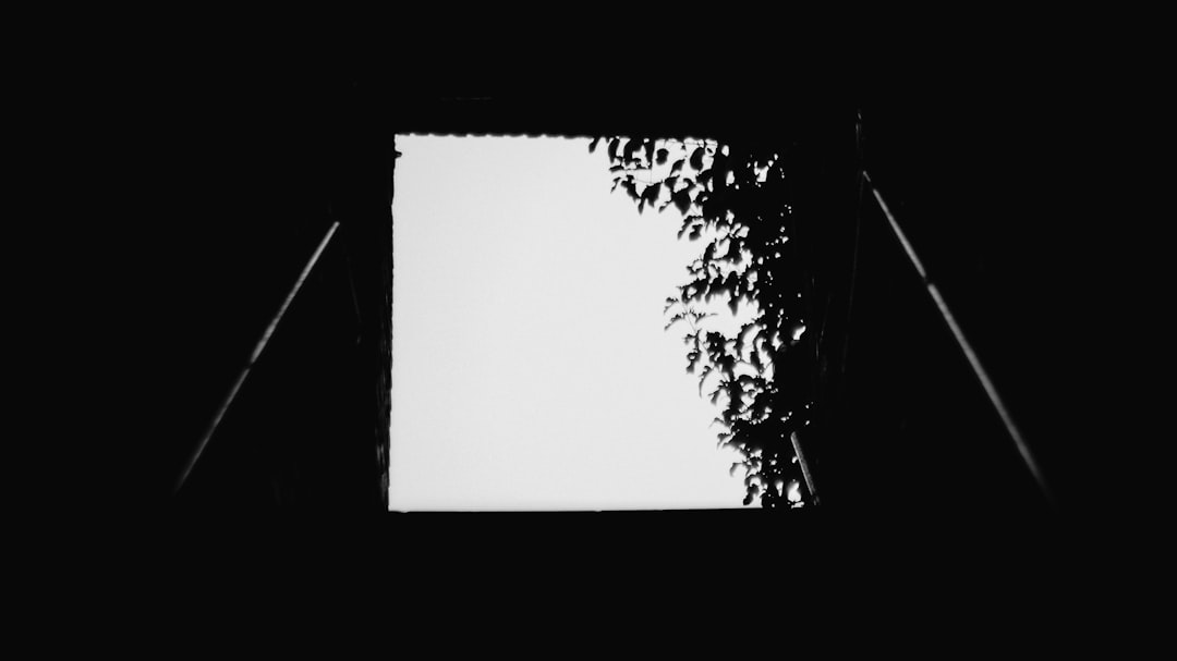 white screen inside black background, minimalist, flat design, white square shape with black edges in the center of the frame, simple shapes, negative space, monochrome, silhouette, shadows, ambient light, camera focused on a window, a tree outside, minimal nature photography, shot from below, high contrast, stark lighting, sharp focus, cinematic in the style of minimal nature photography. –ar 16:9