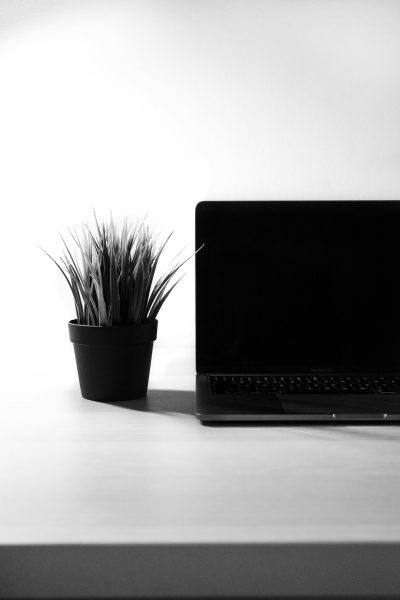 A black and white photograph shows an open laptop on the right side, placed on a clean desk with a potted plant beside it. The background is a plain white. The overall composition creates contrast between the lightness of the background and the darkness inside the computer screen, highlighting its presence. --ar 85:128
