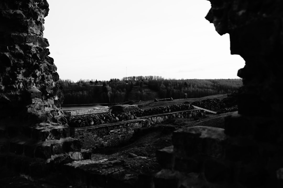 view from inside of old castle ruins, overlooking countryside landscape, black and white photography, dark, gritty –ar 128:85