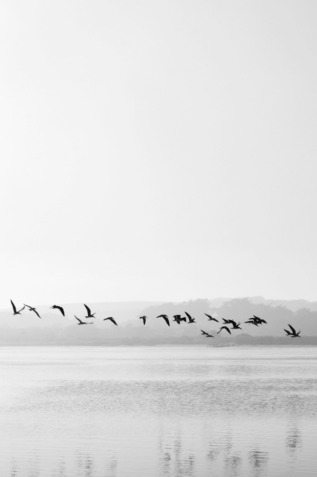 minimalist black and white photography of birds flying over the lake, with mountains in background, simple composition, –ar 85:128