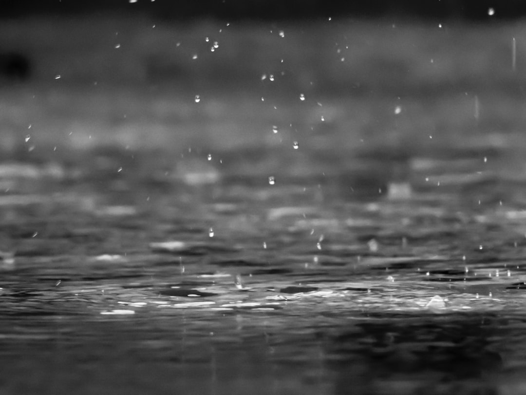 Rain drops falling into the water, monochrome, high resolution, highly detailed, high contrast, depth of field, black and white, blurry background, wet ground, raindrops. Rephrased to say “in the style of” instead of “by”. –ar 4:3