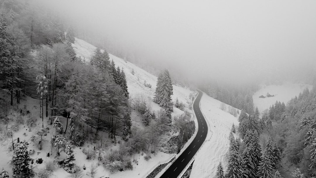 aerial view of black and white road in the mountains with snow, surrounded by forest trees, foggy weather, shot on Sony Alpha A7 III –ar 16:9