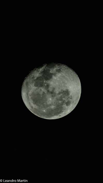 A full moon on a black background in the style of professional photography. An engraving in the style of Leandro Martin. --ar 9:16