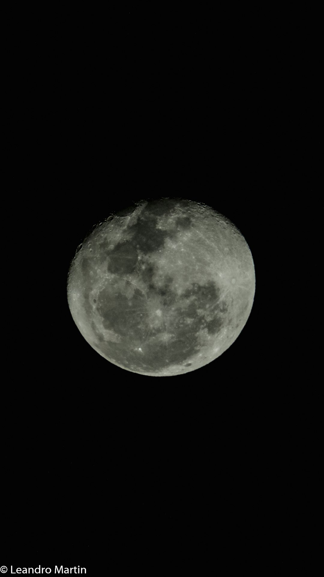 A full moon on a black background in the style of professional photography. An engraving in the style of Leandro Martin. –ar 9:16