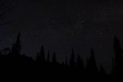 A starry night sky over the dense forest illuminated the silhouettes of tall trees and distant mountains. With a wide angle lens and cinematic lighting in low light with high contrast, the dark black color theme and simple background were captured with a Nikon D850 DSLR camera and a Nikkor AFS NIKKOR 24-70mm f/3.5E ED VR zoom lens, creating an image in the style of a dark, moody landscape painting. --ar 128:85