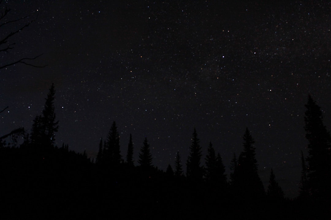 A starry night sky over the dense forest illuminated the silhouettes of tall trees and distant mountains. With a wide angle lens and cinematic lighting in low light with high contrast, the dark black color theme and simple background were captured with a Nikon D850 DSLR camera and a Nikkor AFS NIKKOR 24-70mm f/3.5E ED VR zoom lens, creating an image in the style of a dark, moody landscape painting. –ar 128:85