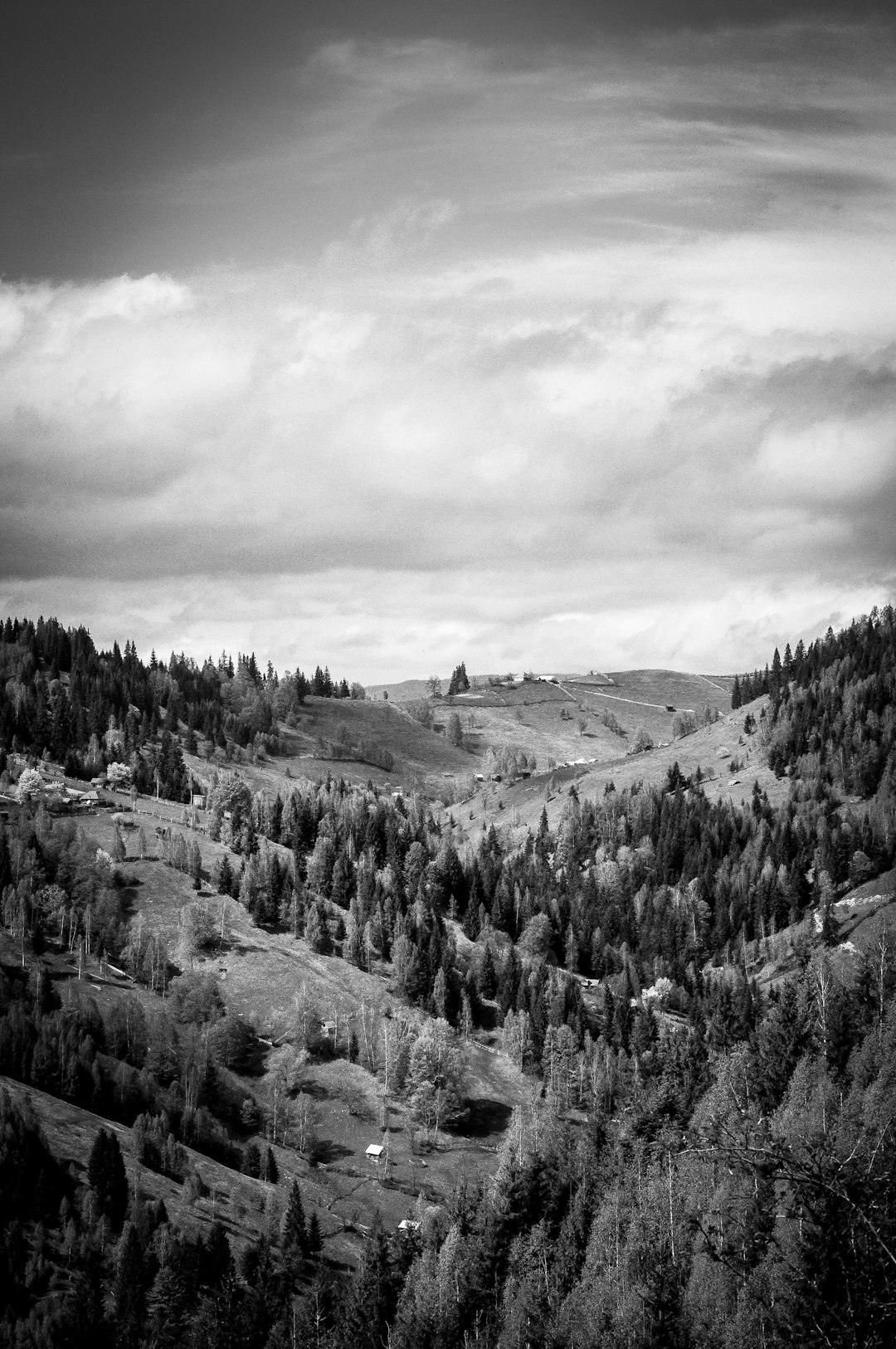 A black and white photo of the mountainous landscape in Romania, with forested hills and some houses scattered around. Shot on Fujifilm Pro400H film stock in the style of the photographer. –ar 85:128