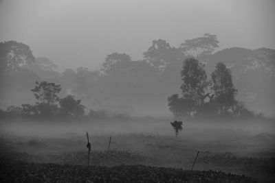 Black and white photo of a foggy landscape with a farmer in the distance, in the style of the Bengal school, monochromatic color scheme, distant view, soft focus on background trees, high contrast between the sky and ground, natural lighting, depth of field effect. --ar 128:85