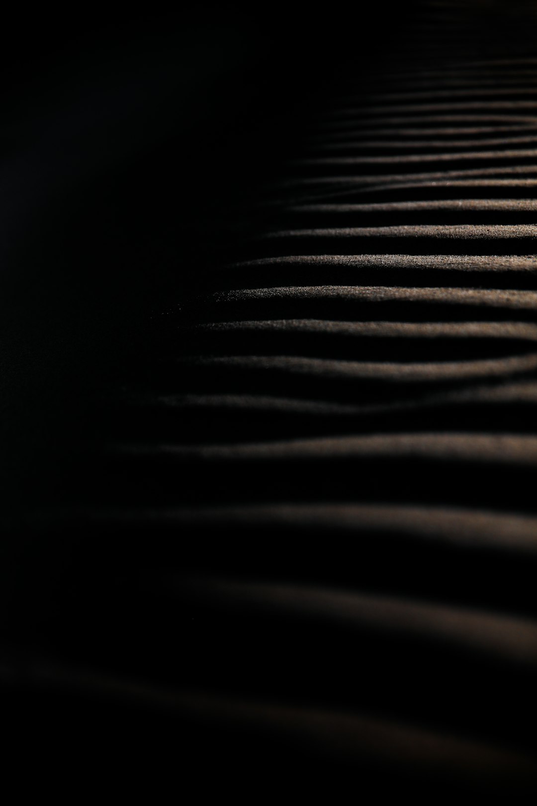 Dark background, undulating lines of sand in the foreground, a depth of field effect, soft lighting, shallow focus, black and gray tones, high contrast, minimalist style, a mysterious atmosphere. –ar 85:128