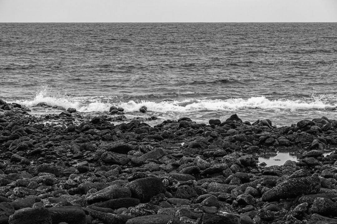 Black and white photography of the rocky shore on the Galapagos Islands, in the style of Fujifilm XH2S + Sony FE lens. –ar 128:85