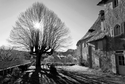 Black and white photography of the sunny side of an old medieval village in France, with a large leafless tree in front, highly detailed, cinematic light, shot on Sony Alpha A7 III camera, award winning photo in the style of an award winning photographer. --ar 128:85