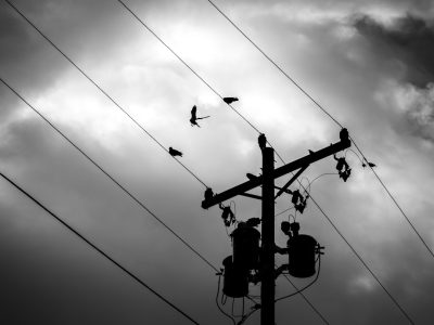 A black and white photo of birds perched on power lines, with the sky in shades of grey and blue. The wires lead to an electric pole surrounded by clouds, creating contrast between light gray skies and dark black bird silhouettes. This monochromatic scene captures nature's beauty through the interplay of natural elements against urban architecture. Shot taken from below using a Fujifilm GFX 50S camera to create a dramatic effect in the style of documentary photography. --ar 4:3