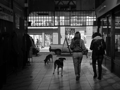 Three young women with their dogs walk into the entrance of "Chileo", which is located in an indoor market, where there's also another car parked on one side. The scene was captured by Sony A7R IV camera using black and white film, giving it a timeless feel. This photograph showcases the people walking towards us, with two of them carrying backpacks. In front of these three individuals stands an easel, which contains artwork., --ar 4:3