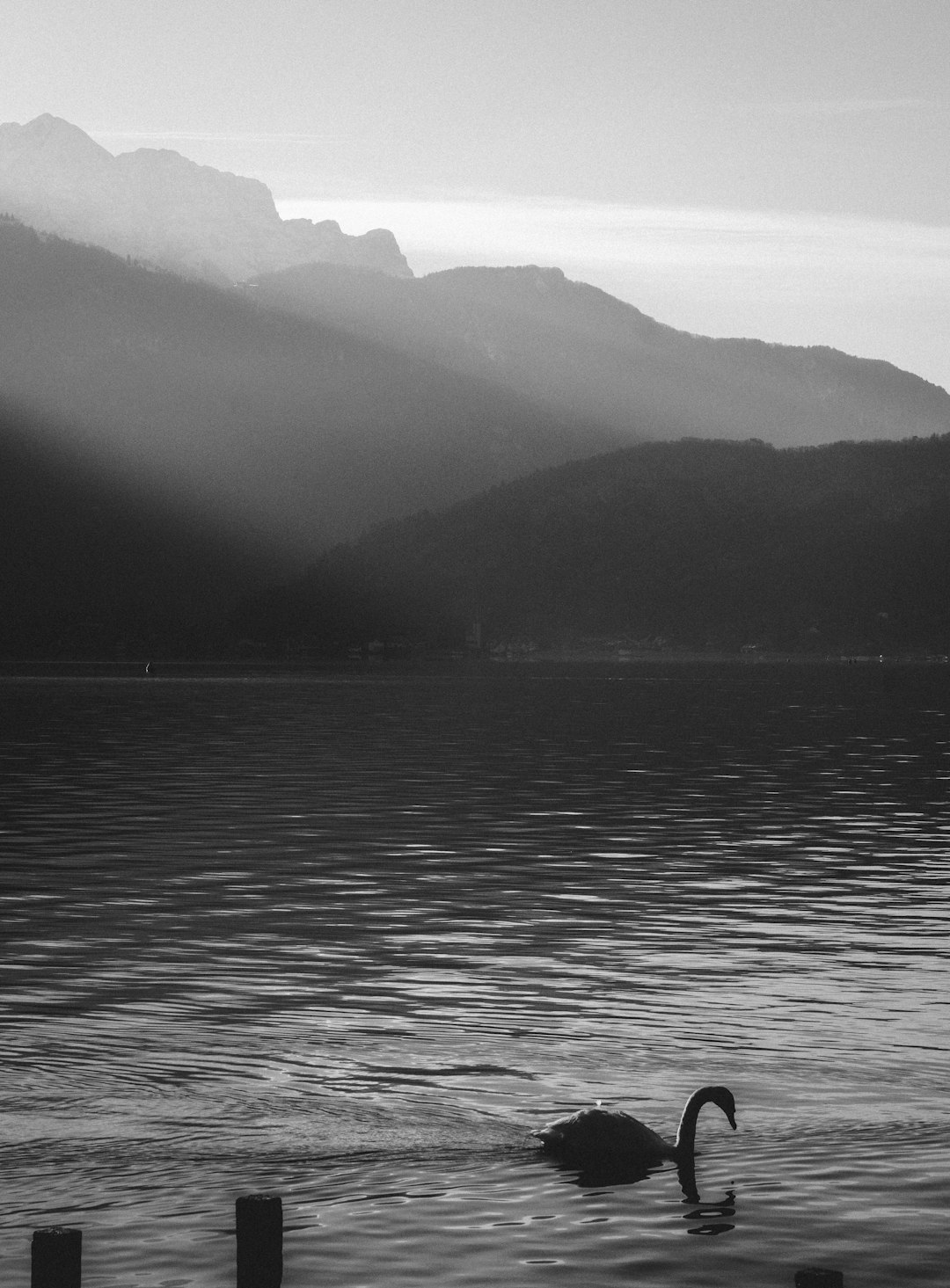 black and white photography of Lake Annecy with a swan swimming in the water, mountains in the background, foggy weather, sunrise. The photograph was taken in the style of [Ansel Adams](https://goo.gl/search?artist%20Ansel%20Adams). –ar 47:64