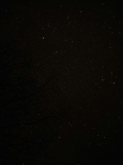 A photo of the night sky, clear dark sky with stars, no clouds, low light, faint outline of tree branches in the foreground, grainy film filter. --ar 3:4