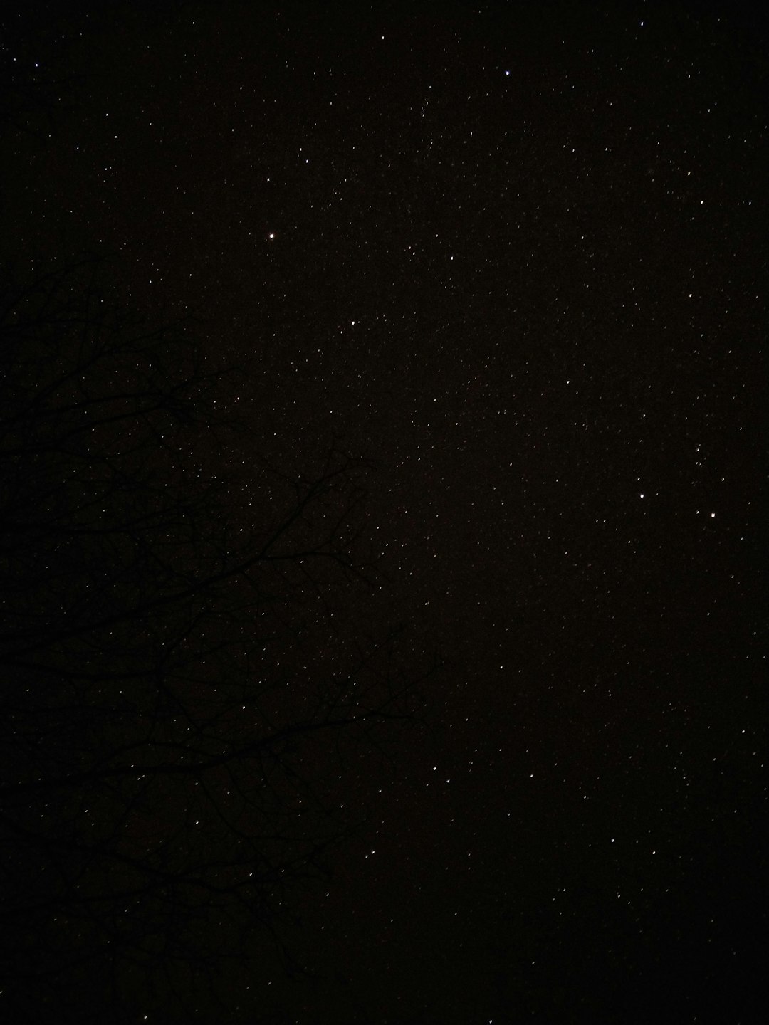 A photo of the night sky, clear dark sky with stars, no clouds, low light, faint outline of tree branches in the foreground, grainy film filter. –ar 3:4