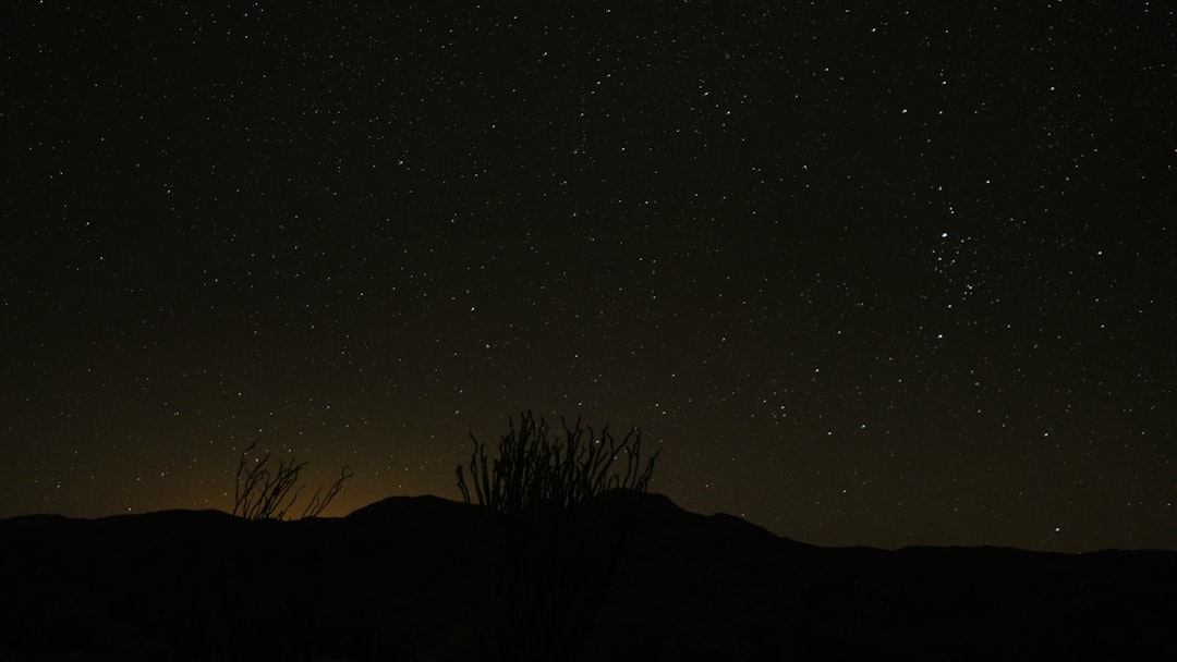 Starry sky, distant silhouette of desert mountains and shrubs, in the style of Nikon D850 DSLR camera with an Nikkor AFS NIKKOR S lens at f/22 aperture setting, shutter speed of 30 seconds ISO. –ar 16:9