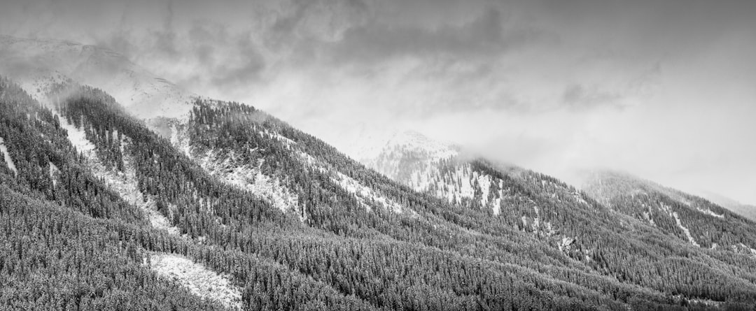 Black and white panorama of snow-covered mountain range with dense forest in the style of [Ansel Adams](https://goo.gl/search?artist%20Ansel%20Adams), high contrast, sharp details, storm clouds overhead, wide angle shot, Nikon D850 –ar 32:13