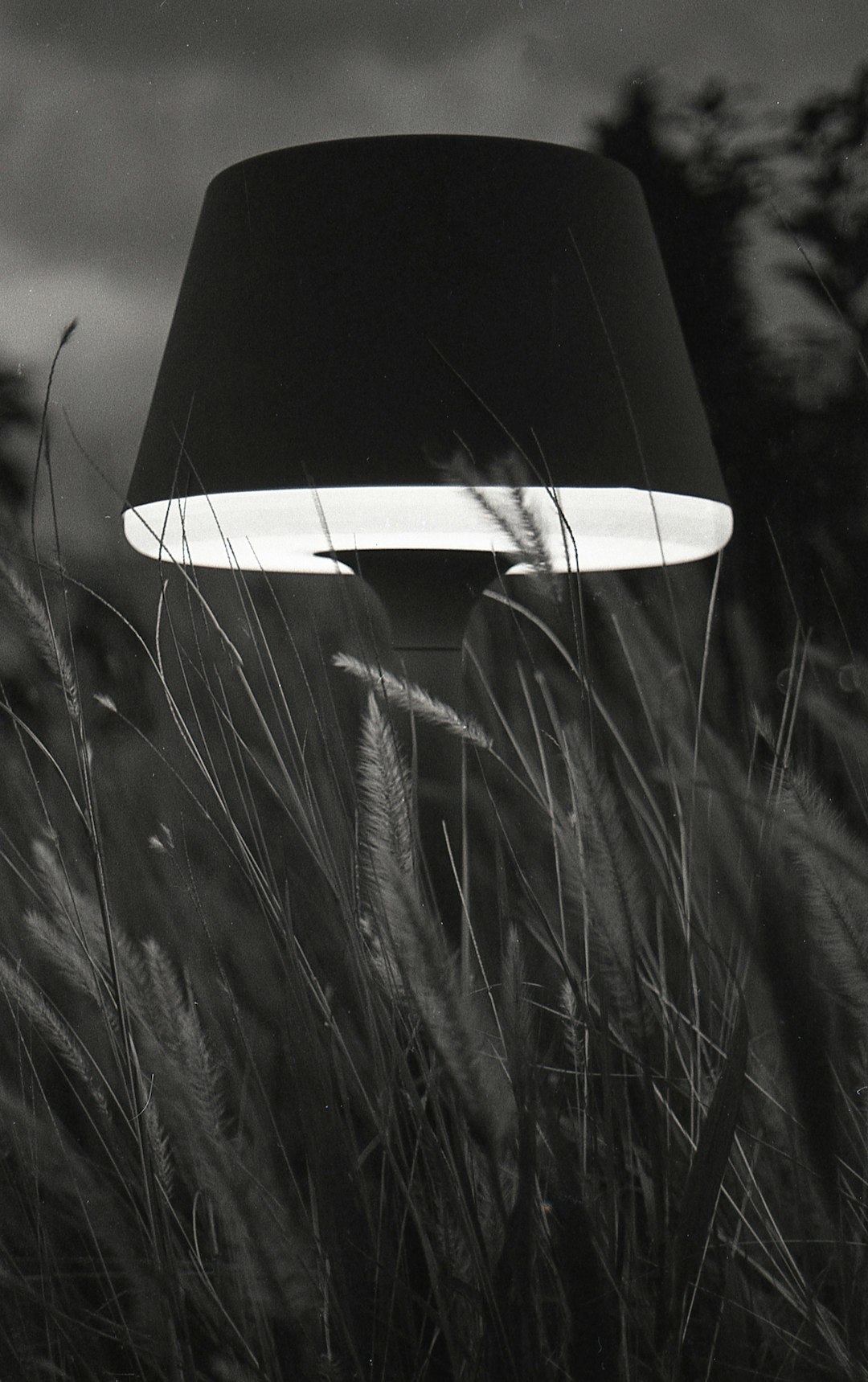 A black lamp with an oversized, wide white shade is placed in the middle of tall grasses, captured from below. The photo was taken at night and illuminated by a soft light source that creates gentle shadows on its surface. This scene gives it a modern feel and adds depth to the composition. –ar 5:8