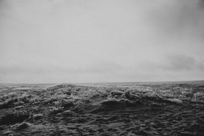 Black and white photograph of the ocean in Iceland, with the horizon line at sea level. The overcast sky. In front there's a flat field covered in sand dunes, partially covered with small flowers. There is some fog on top of them. Shot from a low angle, looking up towards the horizon. Using Kodak film stock. High contrast. Film grain. --ar 128:85