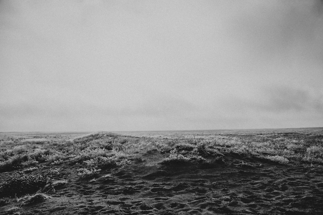 Black and white photograph of the ocean in Iceland, with the horizon line at sea level. The overcast sky. In front there’s a flat field covered in sand dunes, partially covered with small flowers. There is some fog on top of them. Shot from a low angle, looking up towards the horizon. Using Kodak film stock. High contrast. Film grain. –ar 128:85