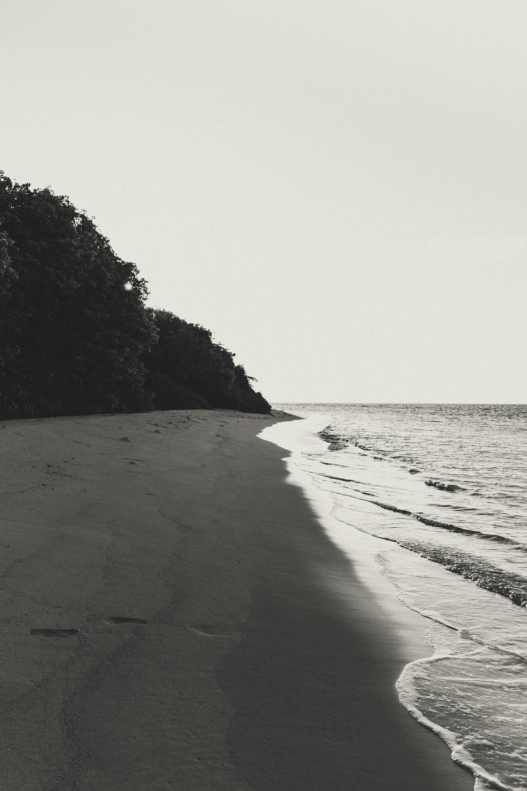 Black and white photography of an empty beach in rainforest, sand on the shore, ocean waves, minimalism, neutral tones –ar 85:128