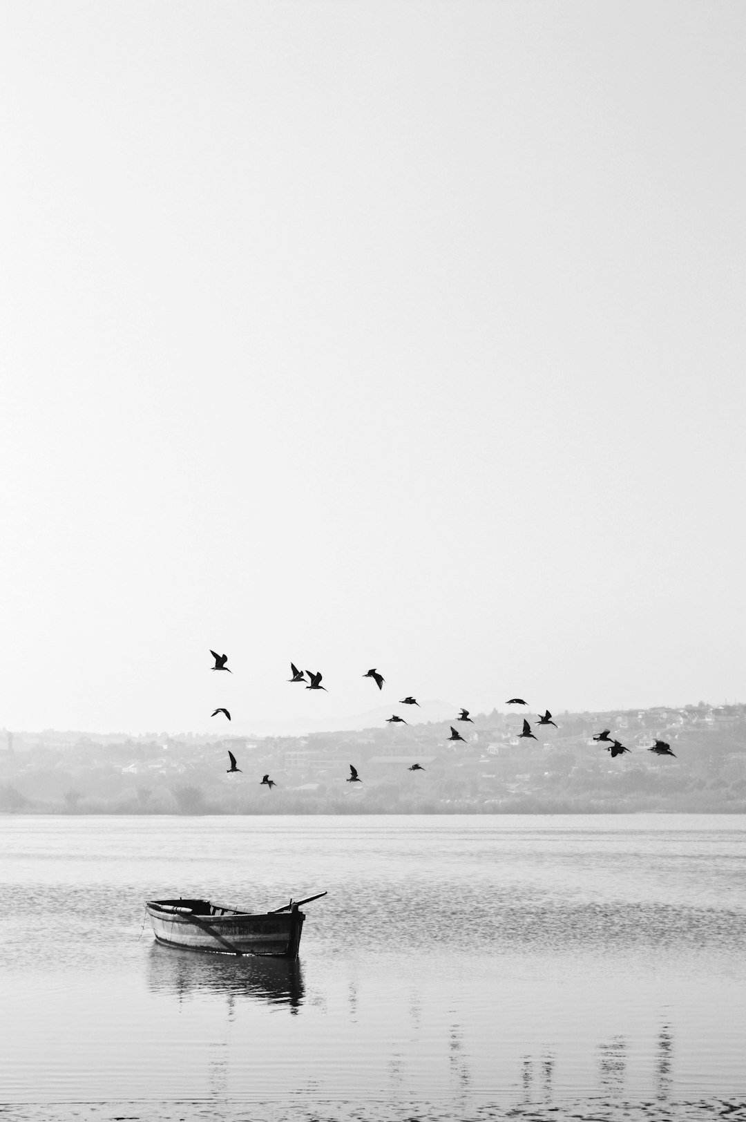 Black and white minimalist photography of birds flying over the river with a small boat on it in the style of [Ansel Adams](https://goo.gl/search?artist%20Ansel%20Adams). –ar 85:128