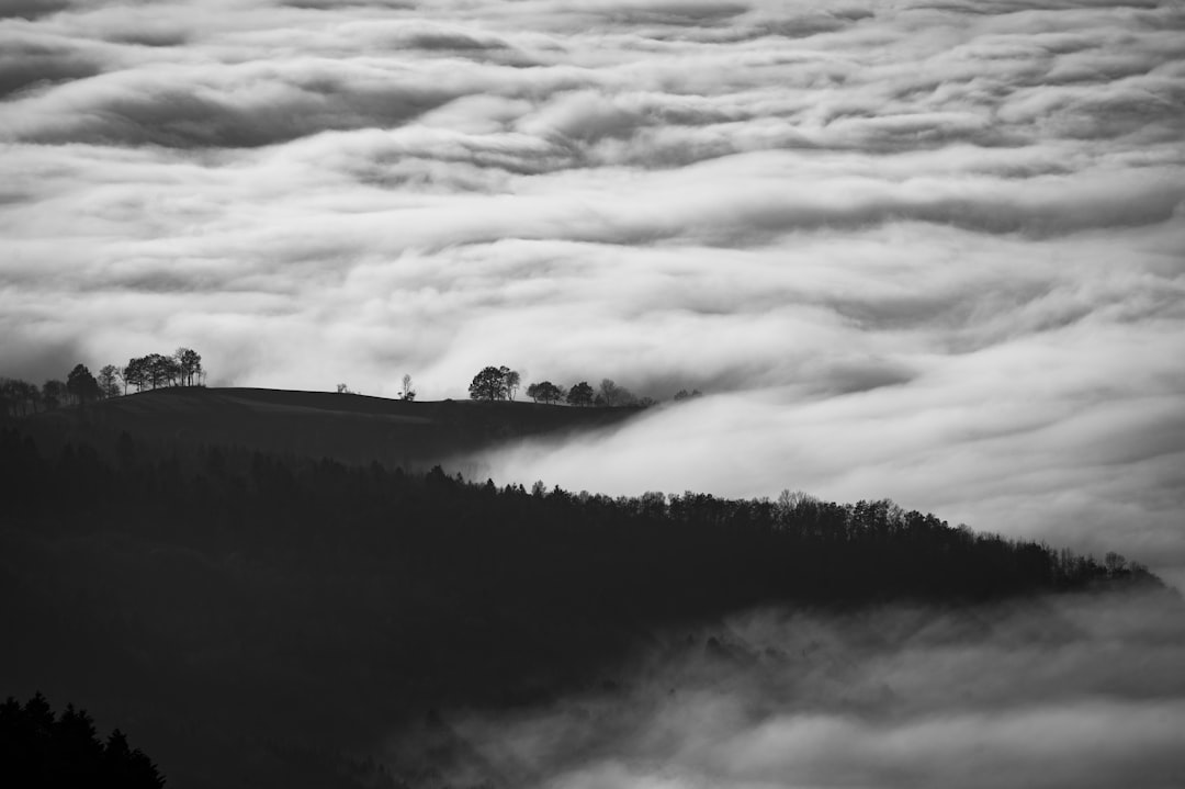 Black and white landscape photography of rolling hills covered in thick fog with trees growing on the slopes, clouds floating above them. The contrast between light and dark creates an atmosphere of mystery and tranquility. Aerial perspective captures the vast expanse of nature. High resolution detail captured in the style of Nikon D850 camera with f/2 lens. –ar 128:85