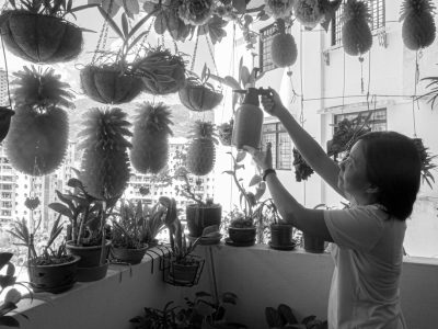 A black and white photo of an Asian woman watering plants in her home balcony garden, hanging from the ceiling many pineapple fruits --ar 4:3