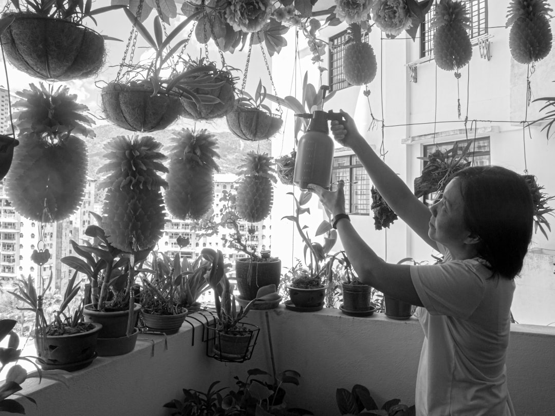 A black and white photo of an Asian woman watering plants in her home balcony garden, hanging from the ceiling many pineapple fruits –ar 4:3