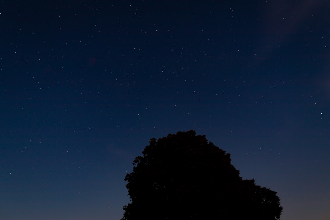 night sky with stars, silhouette of a tree in the bottom right corner, high resolution, taken with a Canon EOS A7R IV camera, f/2 lens, ISO ranging from 80 to 350, long exposure time, film Fujifilm Provia 400x, composition following the rule of thirds. –ar 128:85