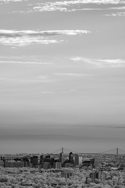 Black and white photograph of the city skyline with the Golden Gate Bridge, cloudy sky, trees in the foreground, distant ocean, high contrast, detailed architecture, urban landscape in the style of [Ansel Adams](https://goo.gl/search?artist%20Ansel%20Adams), wideangle lens, natural light, morning light, soft shadows, cityscape view from Mount Tamalpais. --ar 85:128