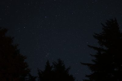 Starry night sky, visible bright stars like the North Star and others form constellations in dark forest, Sony Alpha A7 III, wide angle lens, starry details, black background. --ar 128:85