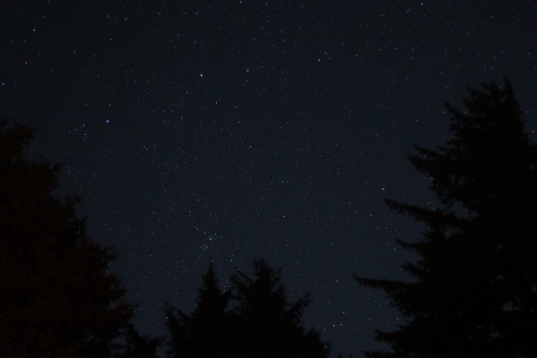 Starry night sky, visible bright stars like the North Star and others form constellations in dark forest, Sony Alpha A7 III, wide angle lens, starry details, black background. –ar 128:85