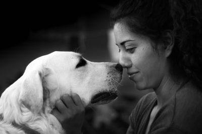 black and white photo of a labrador dog kissing his owner, taken in the style of Canon EF 50mm f/2 lens with a cinematic grain effect --ar 128:85