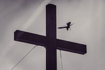 A bird flies past the cross of Christ, in the style of photography, in black and white. --ar 128:85