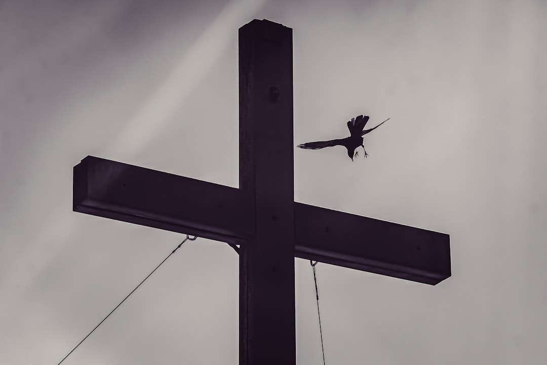 A bird flies past the cross of Christ, in the style of photography, in black and white. –ar 128:85