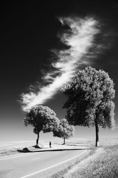 Black and white infrared photo of trees on the side of an empty road, with clouds in the sky, and two people walking along it. The photograph was taken in the style of [Sebastião Salgado](https://goo.gl/search?artist%20Sebasti%C3%A3o%20Salgado). High resolution, very detailed, hyperrealistic, sharp focus, shot from behind, high contrast, low key lighting, dark background. --ar 85:128