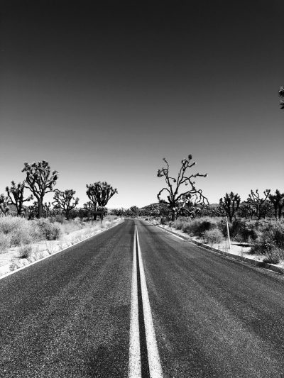 A long road in the desert with Joshua trees on both sides, with a symmetrical composition. The black and white photography was done in the style of a wideangle lens, with a clear sky and vast scenery. The asphalt surface reflected light, creating sharp contrast between colors. There was no one around, highlighting solitude and tranquility. --ar 3:4