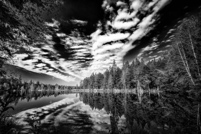 Black and white landscape photography of Lake Macdonald in British Columbia, Canada. Forest trees around the lake with reflection on the water surface. Clouds in the sky. --ar 128:85