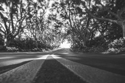 A black and white photo of the coastal road in Hawaii, taken from an ultrawide angle with a lowangle perspective, capturing trees on both sides of it. The camera is positioned at ground level looking up towards a straight line leading to distance. A bright light shines through the foliage creating shadows along the asphalt. In front of me there's another line made by lines of various sizes that stretch across the entire frame. It appears as if you were standing right next to one of these white markings. --ar 128:85