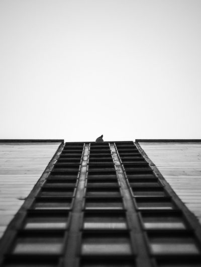 A black and white photograph of an iron ladder leading up to the roof, with one small bird perched on it. The background is plain grey sky, creating contrast between lightness and darkness. A minimalist composition focusing only on these elements against a simple backdrop. Shot from below using a Canon EOS camera, with a shallow depth of field for sharp focus. Low angle perspective adds dramatic effect. High resolution for crisp details. --ar 3:4